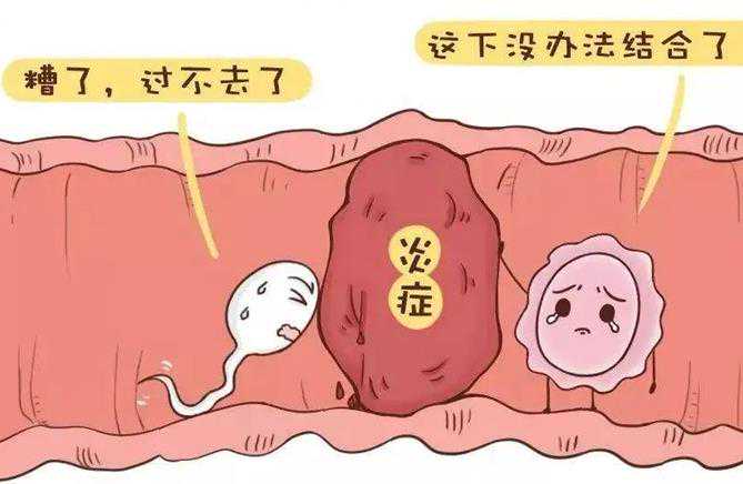 <b>昆明试管代孕正哪家好,[南京可以做三代试管的医院]查精子质量大概需要多少钱</b>
