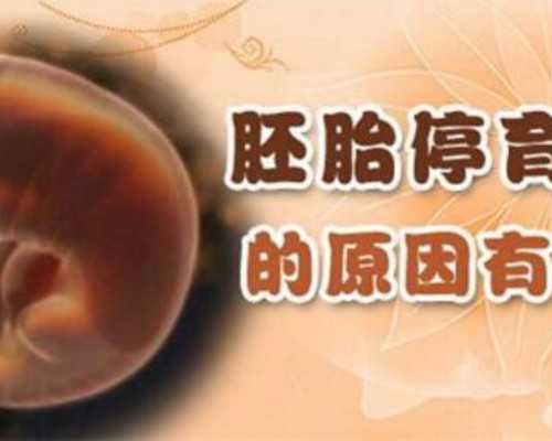 昆明供卵生女孩,上海哪家做试管