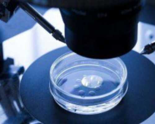 长沙供卵试管中心排行榜,2023湖南长沙不用等的公立供卵机构一次成功率高吗？