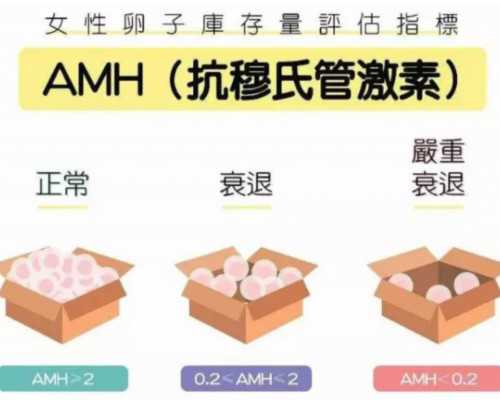 云南有代生机构不|石家庄多囊肾三代试管成功率高吗-正规试管供卵医院