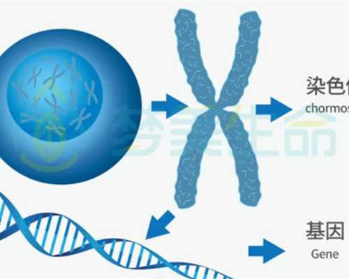 昆明何处能找代孕妈妈,试管移植阿司匹林和肝素区别_上海供卵试管生子多少钱