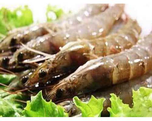 昆明有做供卵试管的吗，昆明安琪儿试管靠谱吗