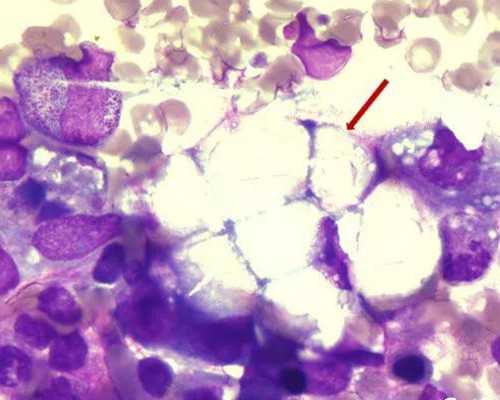 昆明中心代怀套餐,北京北医三院供卵中心什么条件才能登记排队？-试管移植