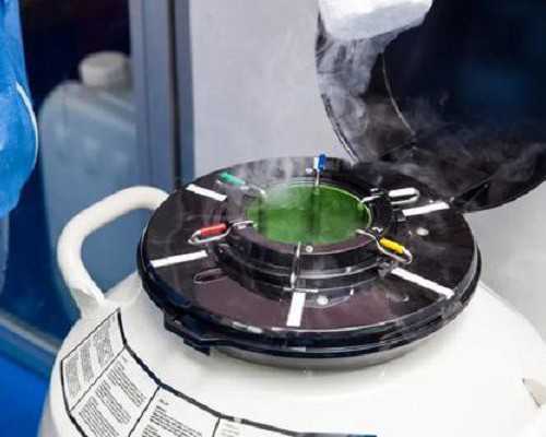 昆明试管代孕必须要结婚证吗,北京试管婴儿多少钱做一次_试管取卵跟输卵管造