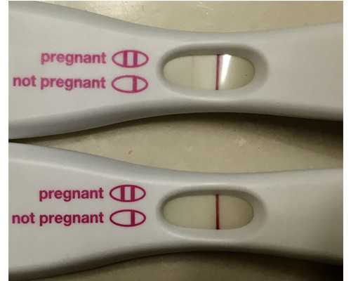 石家庄极限科学减肥训练营丨挑战极限，掌握健康减重之路