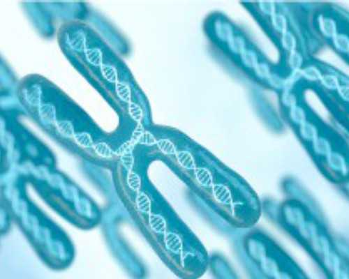 昆明代孕中介有那几个,中信湘雅推出首个“试管婴儿+保险”HMO模式_上海哪有可