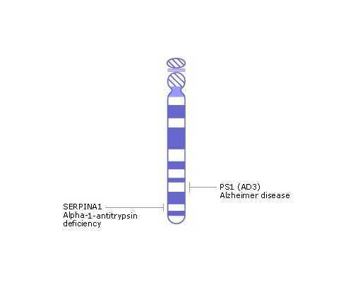 昆明代怀宝宝公司,昆明送子鸟医院好不好？附昆明送子鸟医院介绍！