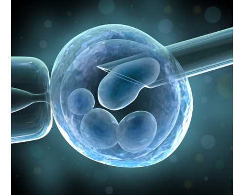 昆明在找代怀女,试管婴儿昆明多少钱，公司价格51999元