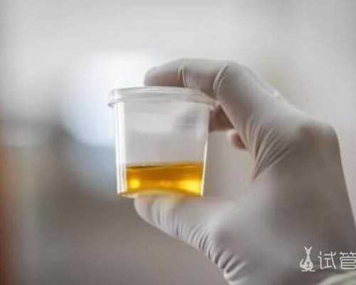 昆明好大夫代怀网,昆明试管医院哪家好云南昆明做试管生男孩要多少钱？