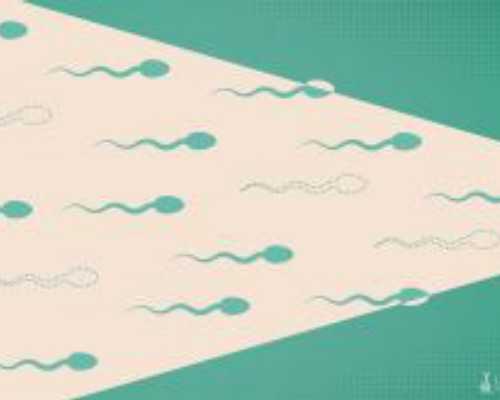 昆明代孕的孩子能上户口么,借卵做试管的费用-上海供卵试管公司有哪些_深圳市