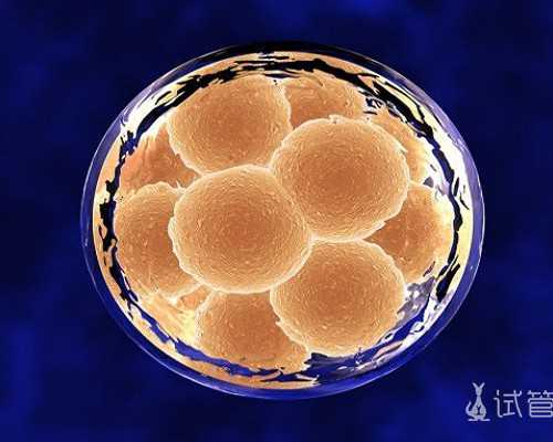 昆明供卵代孕价格查询,什么是二代试管婴儿_选择试管婴儿的8大理由，一起来看