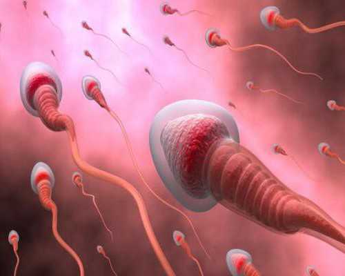 昆明做试管代孕哪家好,北京试管婴儿价格是多少？怎么减少费用？-怀孕抽血检