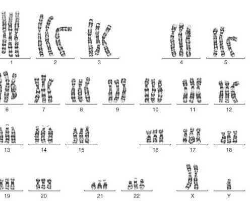 云南做代怀价格|广西妇幼保健院供卵试管费用一览！附2023卵源等待时间预估