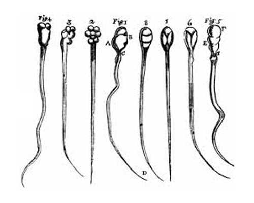 昆明代怀医院地址,试管婴儿男的检查什么什么项目-上海私立医院供卵多少钱