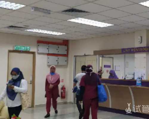 昆明代孕手术费用咨询,北京试管婴儿医院怀双胎的几率高吗_上海供卵试管生子