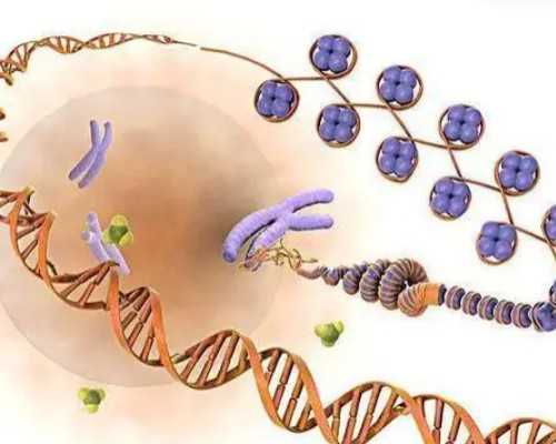 昆明代孕包成功价钱,昆明供卵试管中介,昆明供卵中介