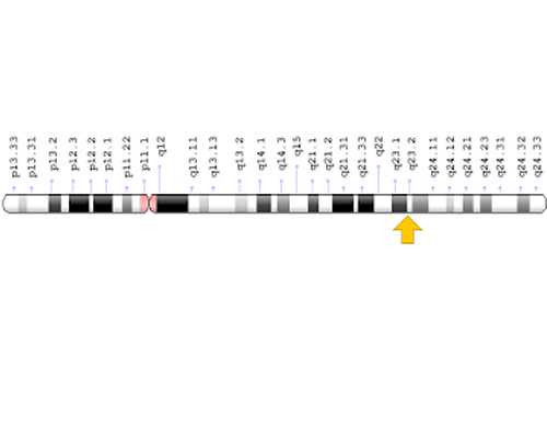 昆明试管婴儿医院包干,昆明试管婴儿包干价是多少