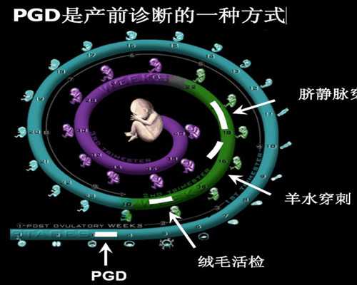 儿童拧螺丝钉组装玩具的适宜年龄是多少？
