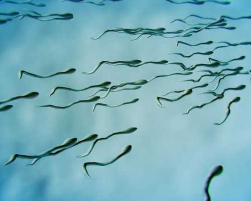 昆明内有代孕吗,做试管婴儿之前夫妻双方都做过染色体检查，做的是第三代成