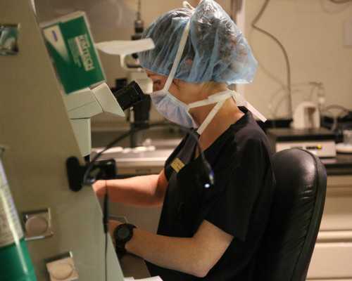 昆明代孕代怀孕包成功,港大深圳医院试管进入周期:成功案例经验分享，看别人