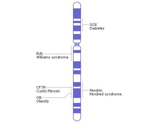 昆明代孕成功率高,可以选择性别的三代试管婴儿我们要支持吗？-1989农历4月生