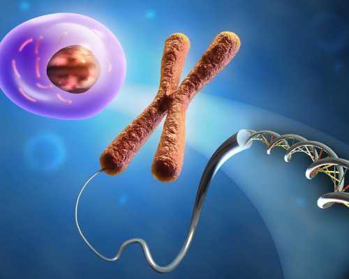 2023贵州单角子宫试管婴儿前10医院排名，附试管婴儿助孕条件