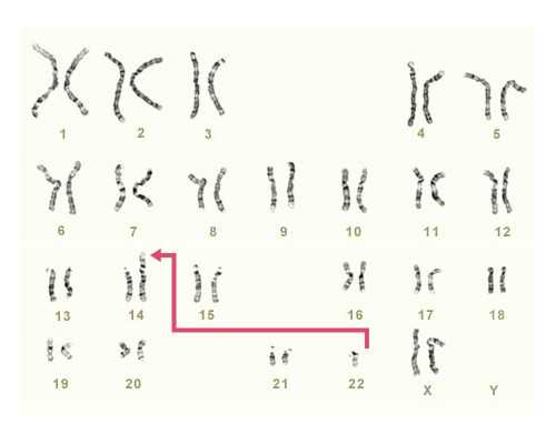 昆明试管婴儿代孕价格,正常人做第三代试管婴儿成功率高吗?-上海供卵试管公司
