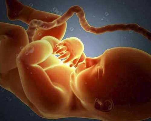 云南正规代怀|济宁试管婴儿做一次多少钱