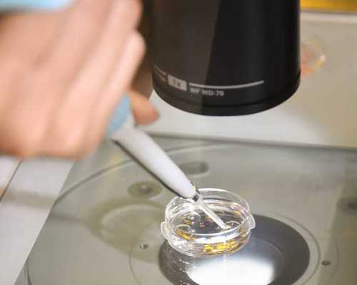 昆明代孕属于违法吗,北京正规合法的供卵试管机构有哪些？-打夜针前要做什么