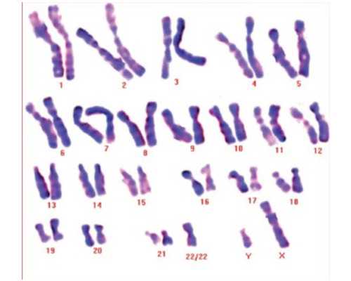 昆明试管代孕建议,北京供卵私立试管排名，2024
年已更新|北京供卵试管机构_阴