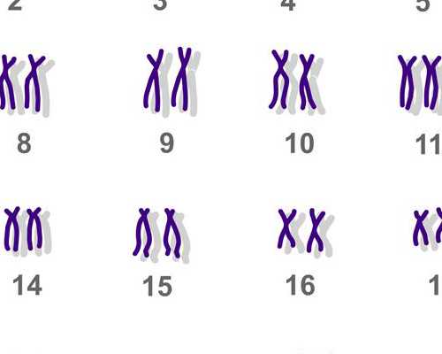 云南找供卵试管网|长春第三代试管可以选择男孩吗