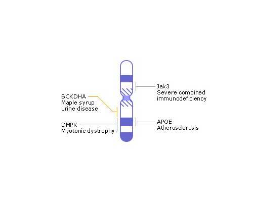 昆明代孕的孩子血型,多地拟将试管婴儿费用纳入医保-深圳哪家试管给供卵-卵巢