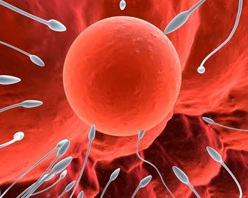 昆明找代孕公司靠谱的,泰国试管婴儿价格高吗？怎么节省费用？_试管婴儿75天