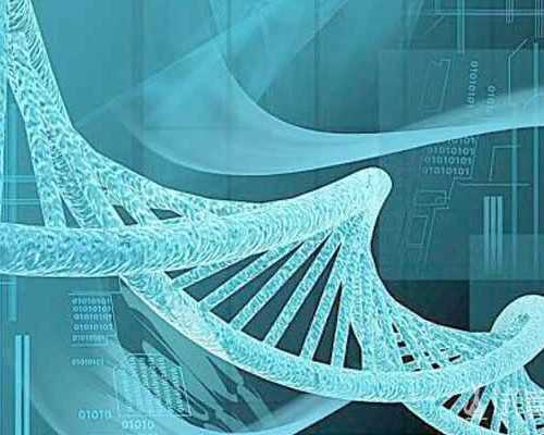 没有结婚证如何做试管？