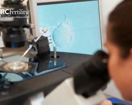 昆明无卵供卵代生,昆明的试管婴儿费用明细介绍