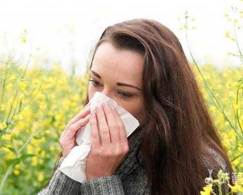 终极减肥指南：健康饮食、适度运动与科学指导的最佳方案