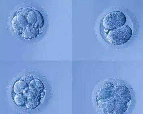 企业计划生育政策宣传稿件
