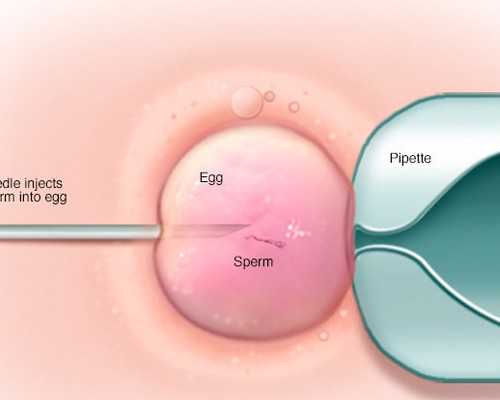 昆明代孕女电话,北京正规合法的供卵试管机构有哪些？-试管前拍胸片影响建档