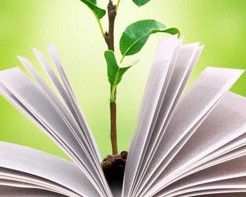 昆明试管代怀联系中介,试管婴儿要怎么做-最新2023人口普查姓氏排名_选择二代