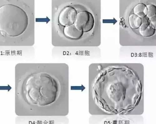「攻略大全」昆明市医院排名试管(昆明做试管的医院排名)