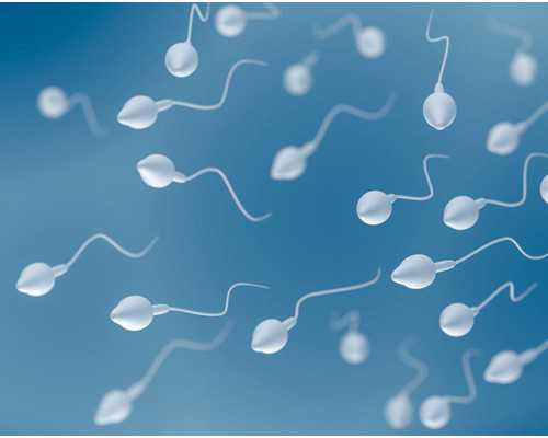 昆明找代孕靠谱吗,少精，想做试管婴儿，请问青岛妇幼和济南省立比哪个好？