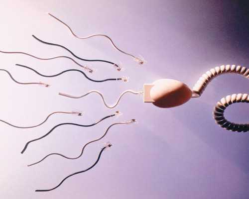 深圳哪个医院能做供卵试管,2023深圳三代试管供卵生男孩的费用明细?-代孕最好