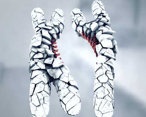 昆明代孕一次多少钱合适,试管婴儿寿命短、智商低？国内首例试管婴儿如今3