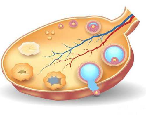 昆明试管婴儿大概多少钱,昆明云大做试管婴儿的费用