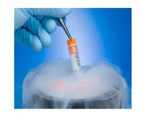 昆明福柚医疗代怀官网,做试管婴儿到底有多痛苦?看完之后令人泪目-上海哪家医