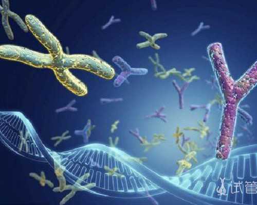 昆明供卵哪里便宜,昆明2024最佳*医院排名单火热分享昆明前3*机构名单