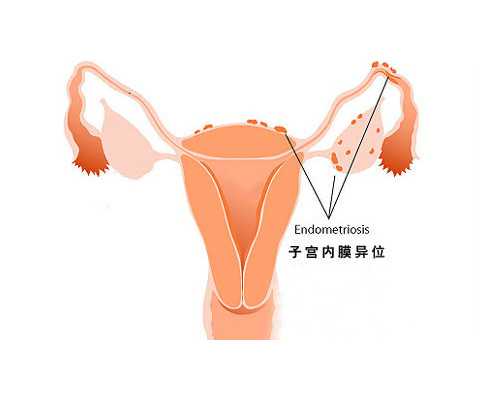 昆明单身想代孕要个孩子,私人助孕机构做供卵试管靠谱吗北京有哪些私立供卵