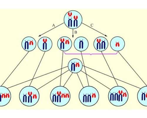 昆明试管代孕医院名称,昆明做试管婴儿哪里好？有医院推荐吗？