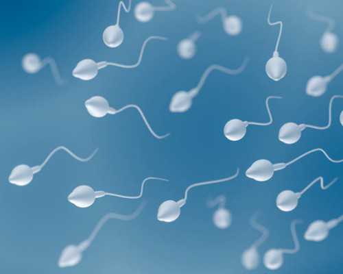 云南哪有代孕公司|2023石家庄试管助孕借卵生子费用明细一览，做供卵试管费用