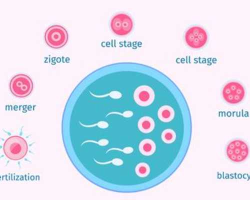 昆明靠谱供卵代孕,泰国试管婴儿冷冻胚胎移植的4大优势 -锦州试管医院排名前